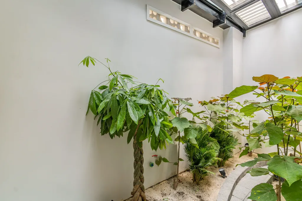 Retail Space St.282 (6 of 17).webp