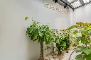 Retail Space St.282 (6 of 17).webp