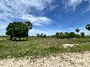 LINE_NOTE_260713_2.webp
