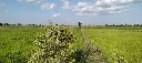 LINE_NOTE_260723_5.webp