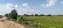 LINE_NOTE_260723_3.webp