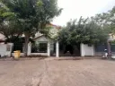 玫瑰G排精裝独栋別墅