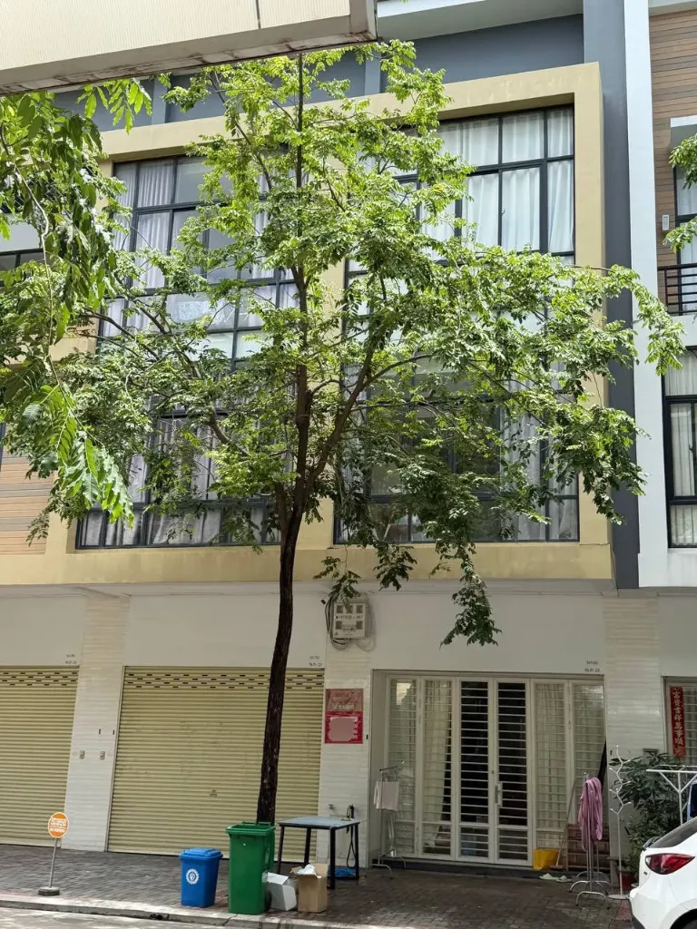 1号路炳发城急售排屋